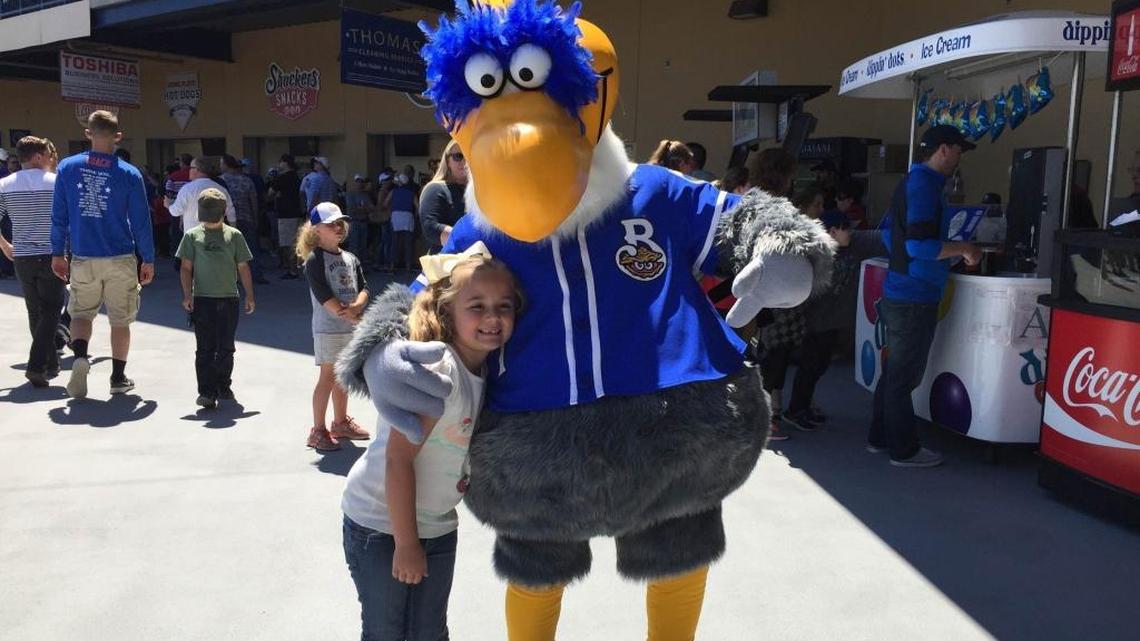 Looking for a job? Biloxi Shuckers and other Coast employers are hiring.