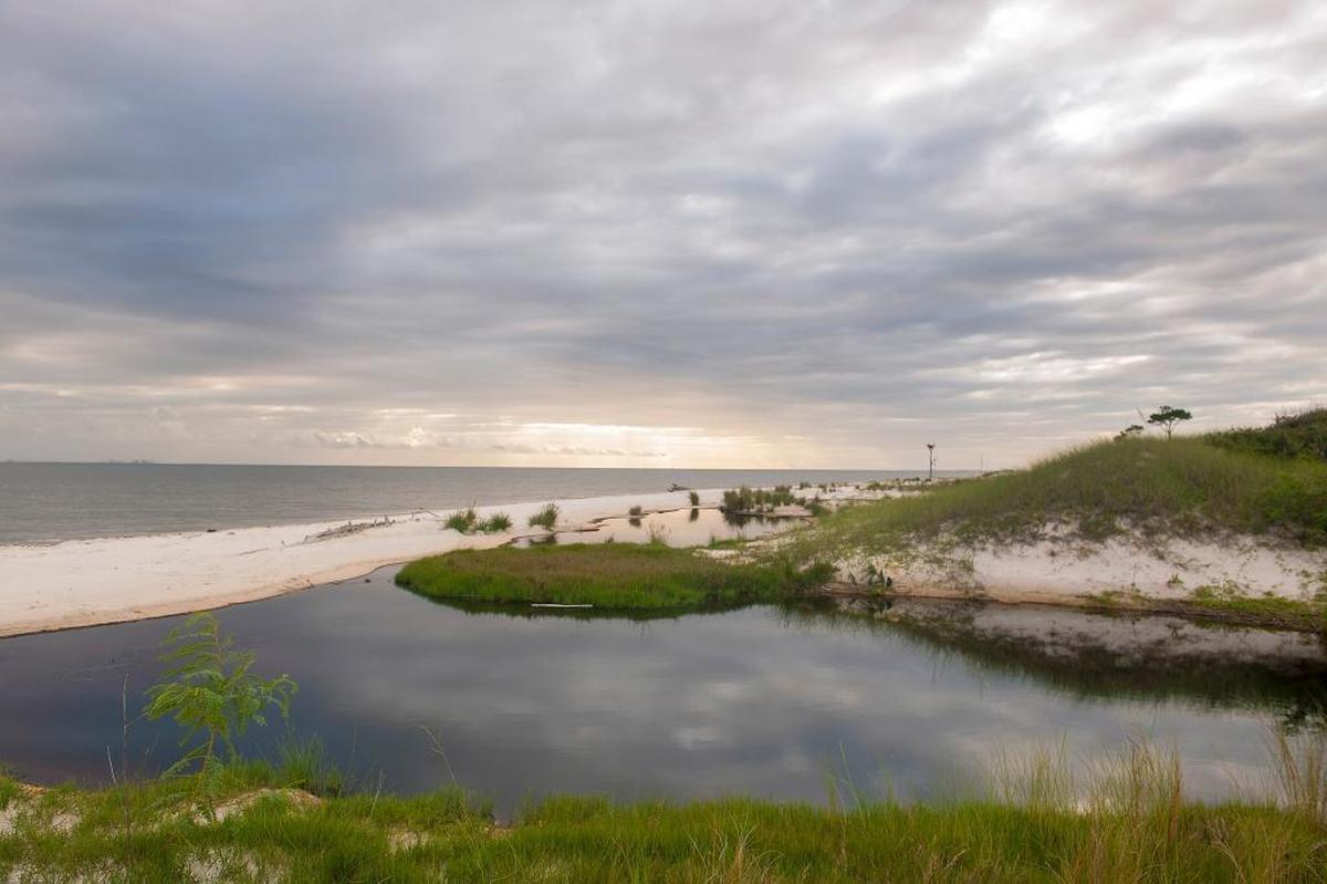 The north shore of Horn Island in Mississippi on May 30. The rugged nature of Horn Island in the Gulf of Mexico made it Walter Anderson’s muse.