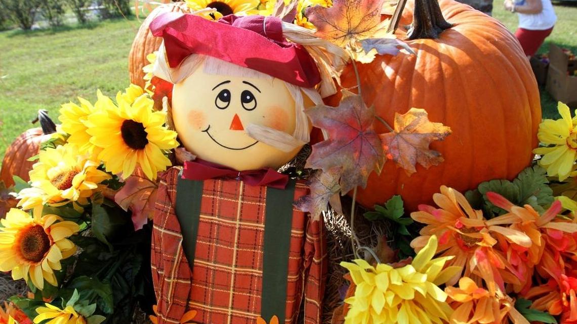 Here are 8 ways SC homeowners can reuse Halloween decorations for the rest of fall