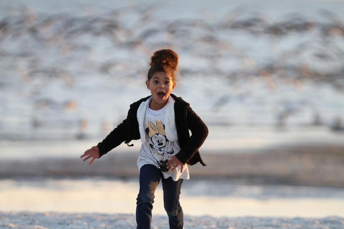 Jade’lenn Adams, 6, of Gulfport runs away after scaring up a flock of birds on the beach near the Courthouse Road Pier in Gulfport on Saturday, Feb. 4, 2017. Adams was on the beach with her mom and a friend who was visiting from out of town. Photographer’s comment: We don’t get out to ‘enterprise’ feature photos much any more, so this may be one of the last. The exuberance on this girl’s face is priceless.