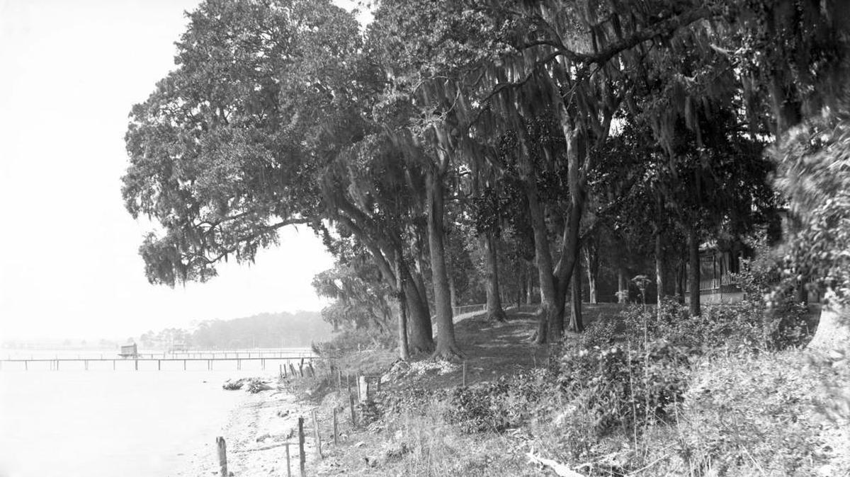 Except for building of piers, this turn-of-the-20th-century Ocean Springs scene from Back Bay Biloxi looks much as the Mississippi Coast would have in the 1700s and 1800s. Sandy bluffs and moss-draped oaks defined the inland waterways.