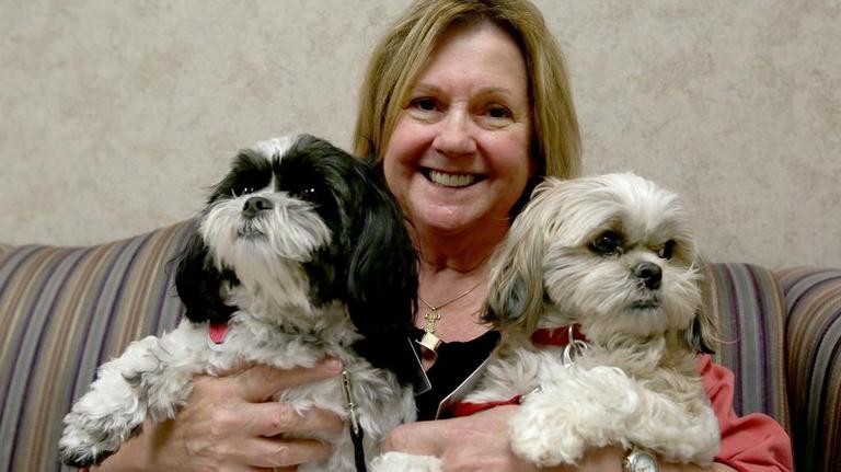 These pretty pooches provide pet therapy to Coast people in need