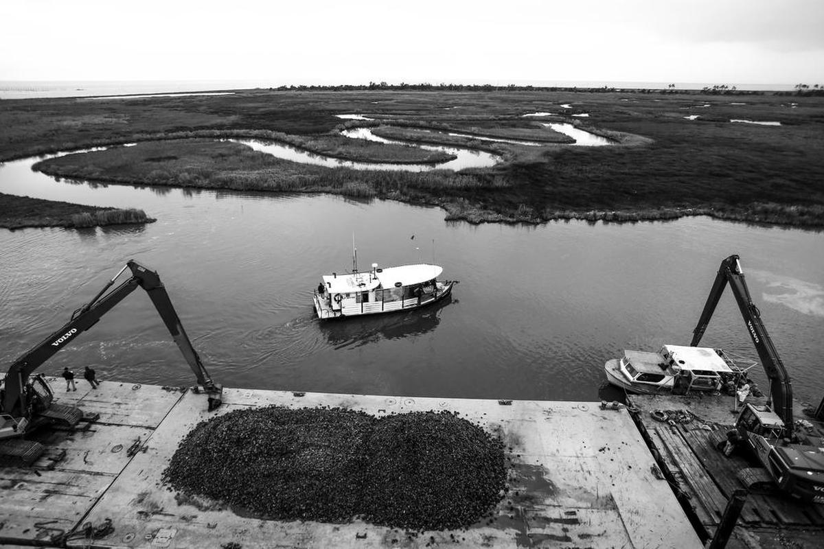 Oystermen unload oysters onto a barge near the Silver Slipper in Waveland while moving oysters from St. Joe’s reef to safety away from fresh water from the opening of the Bonnet Carre Spillway in January.