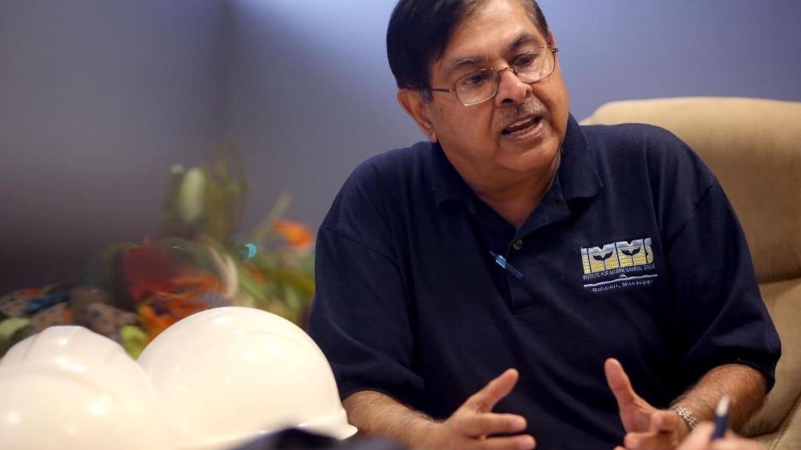 Dolphin found dead on MS Coast. Damage to body has scientists concerned