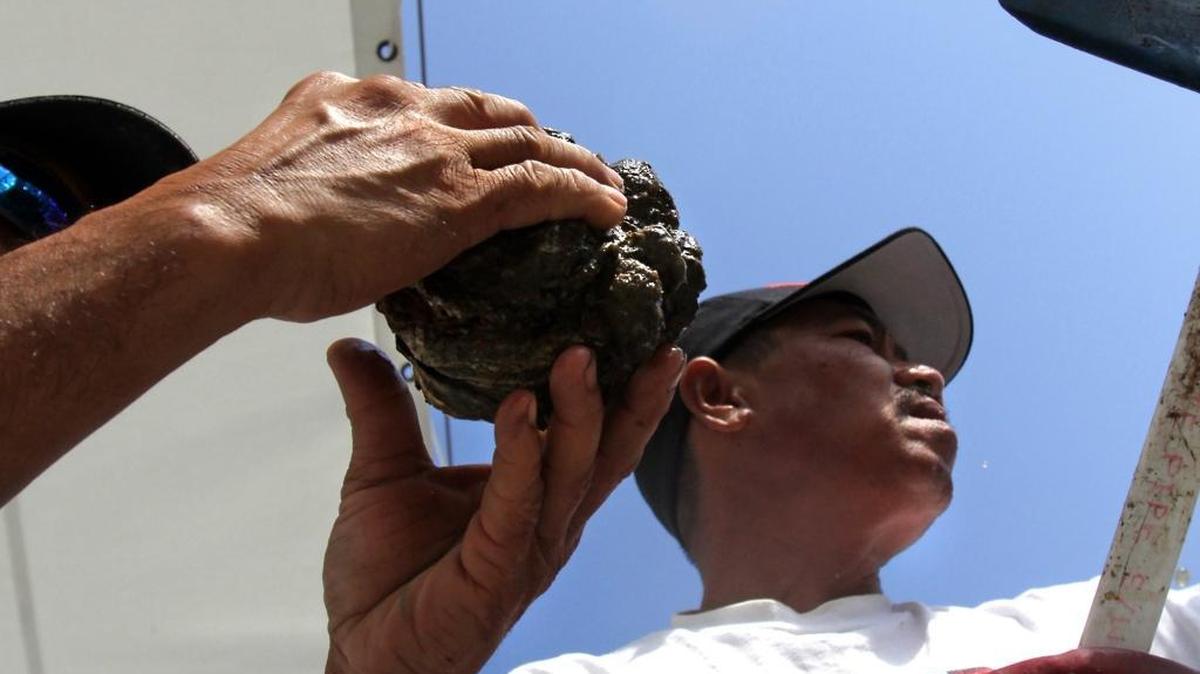Oyster fishermen Minh Tran, left, and Can Nguyen sift through a dredged sample of oysters while touring the reefs near Pass Christian with the Department of Marine Resources on Sept. 1, 2010.