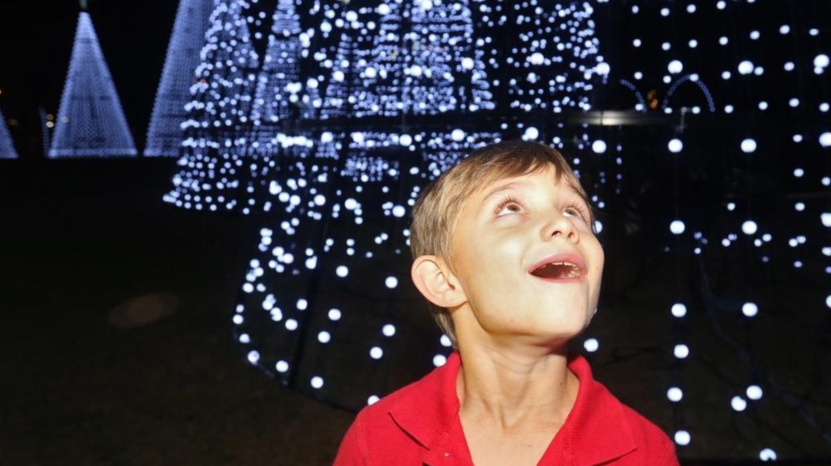Evan Heidingfelder, 7, of Gulfport is wowed by the Christmas light display during the inaugural 2015 Harbor Lights Winter Festival at Jones Park in the city harbor off U.S. 90.