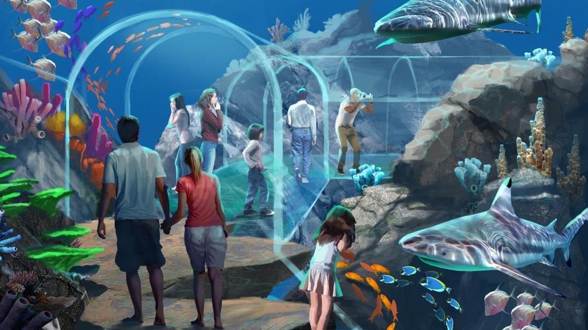 This is the proposed design for the Mississippi Aquarium in downtown Gulfport in renderings by PGAV of St. Louis and Coast architectural firm Eley Guild Hardy.