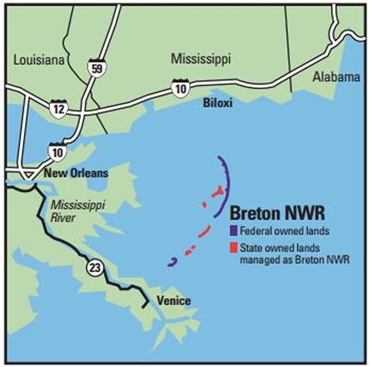 Pelicans and other colonial seabirds from the Mississippi Coast nest in the Breton National Wildlife Refuge in the summer and return to the beaches of the Coast this time of year.