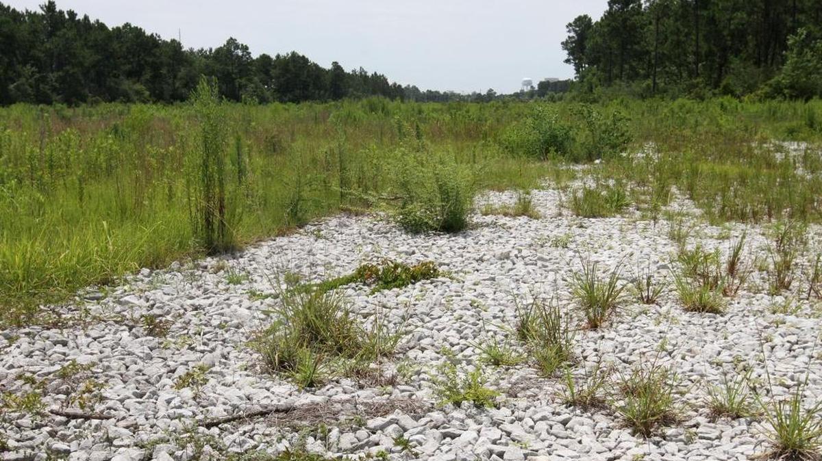 Weeds grow where land was cleared in 2011 near 33rd Street in Gulfport, shown on on Thursday June 30, 2016, for a connector road between I-10 and the state port. The state has spent $158.5 million on the project, which is currently in limbo.