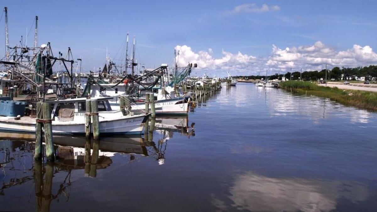 Known for its picturesque harbor, beautiful sunsets and massive live oaks, Pass Christian is growing again. Pass Christian has had one of the highest percentages of change since the 2010 census. With a population of 4,600 in 2010, it has grown 24 percent with an influx of 1,100 new residents, Thursday, June 15, 2017.