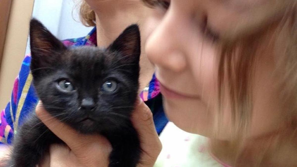Avisa, background, and Tesla Michael of Ocean Springs hold the baby of one of the kittens that was living in a downtown oak tree in Ocean Springs at Christmas. They adopted it.
