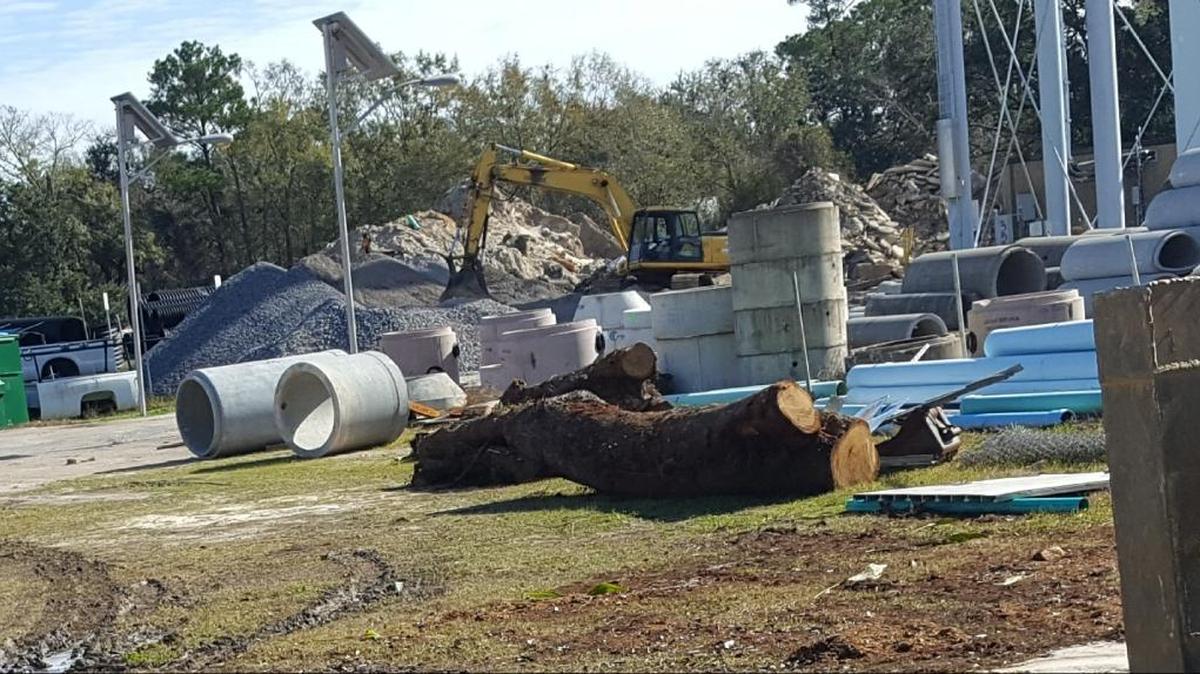 Stump of the leaning tree and several smaller pieces are available at the city Public Works Department, 712 Pine Drive.
