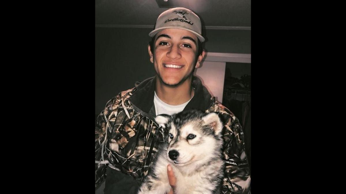 Josh Avila’s dog, Akela, was shot in the head near the Pascagoula River in Jackson County on Sunday. A GoFundMe.com account was set up to cover Akela’s mounting medical expenses. After Avila was originally told the surgery to fix Akela’s jaws may be too complex to be performed locally, he’s in search of a second opinion and more help.