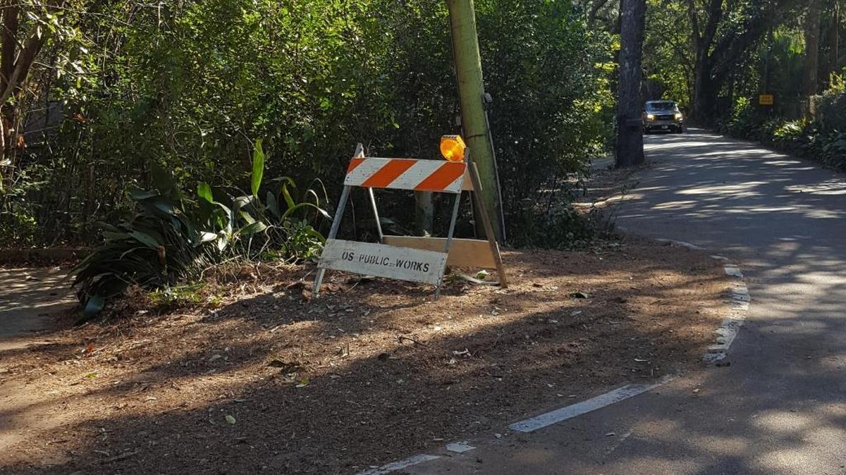 Where the leaning tree was on Lover's Lane. Workers took it before noon on Tuesday.