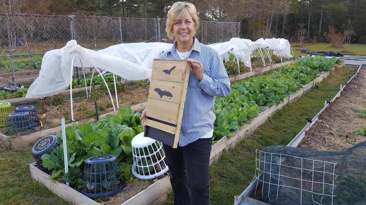 Wanda Freeland, an organic gardener, lives on 10 acres and believes in getting rid of pests naturally. Her latest favorite remedy is bats. She believes every home on the Coast should have a bat house like the one she’s holding.