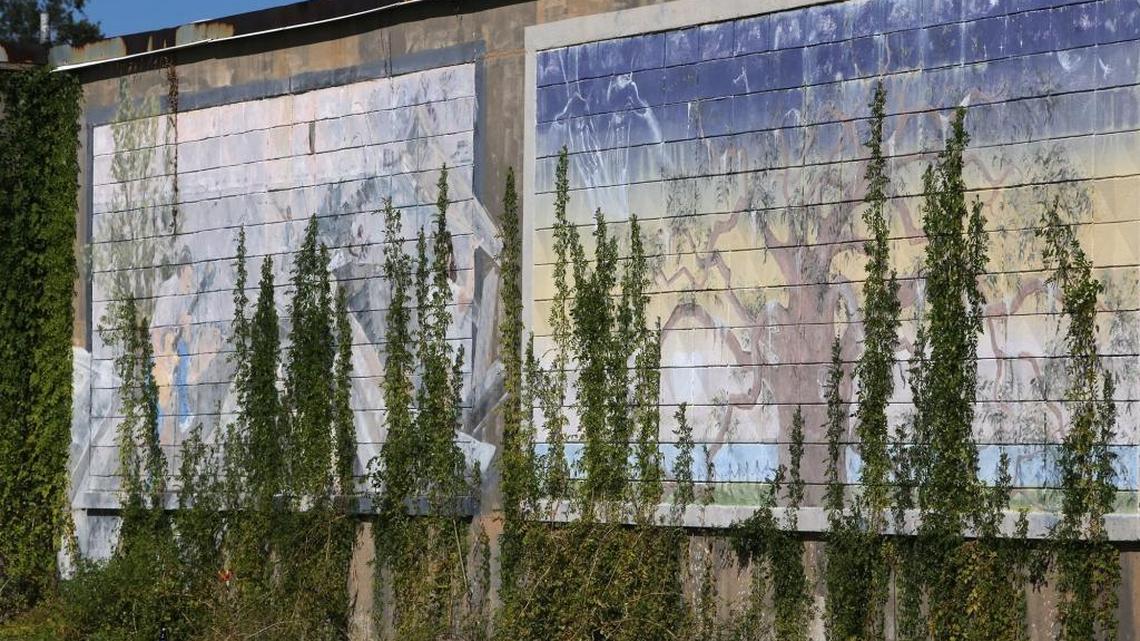 Vines obscure one of the faded murals on the old Swingster building on Government Street in Ocean Springs, which became known as Camp Victor when it housed volunteers after Hurricane Katrina in 2005. The county demolished the building and plans to sell the prime 2-acre lot to the highest bidder.