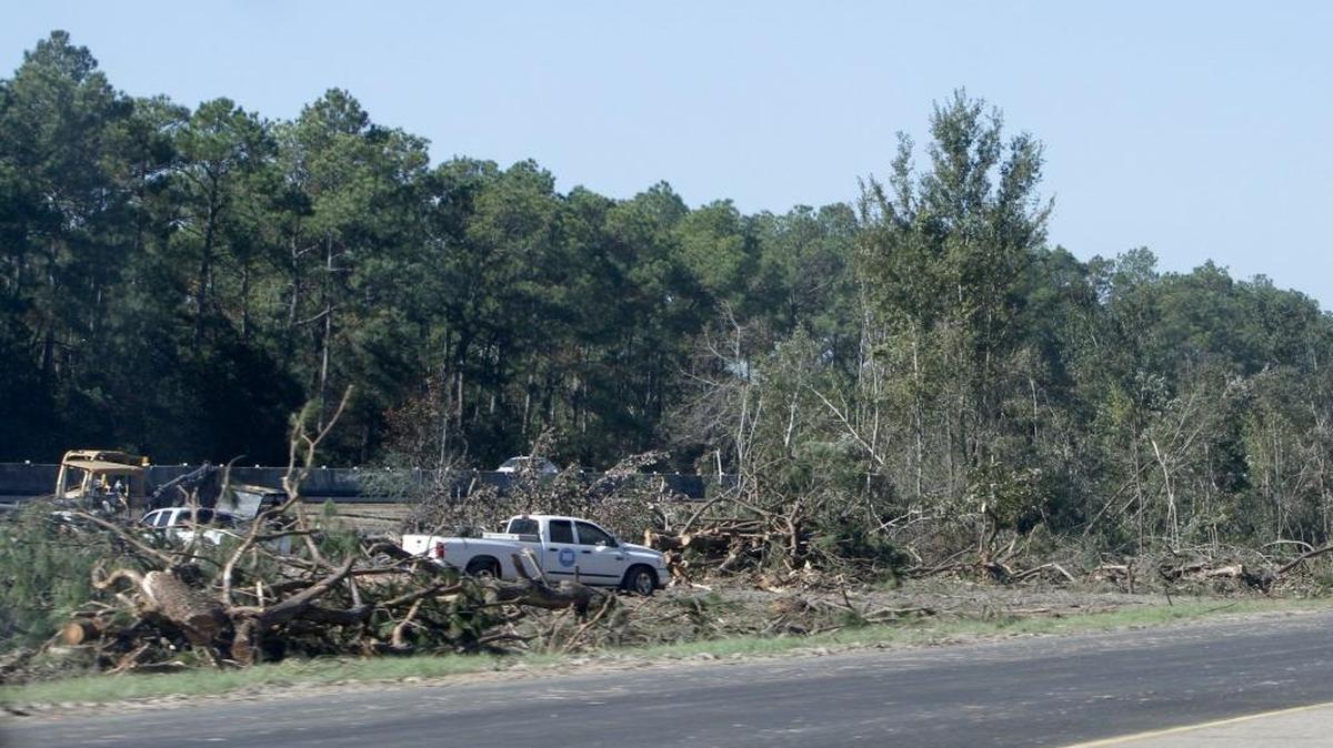 MDOT has loggers to clear the median of Interstate 10, east of mile marker 52, north of Ocean Springs.