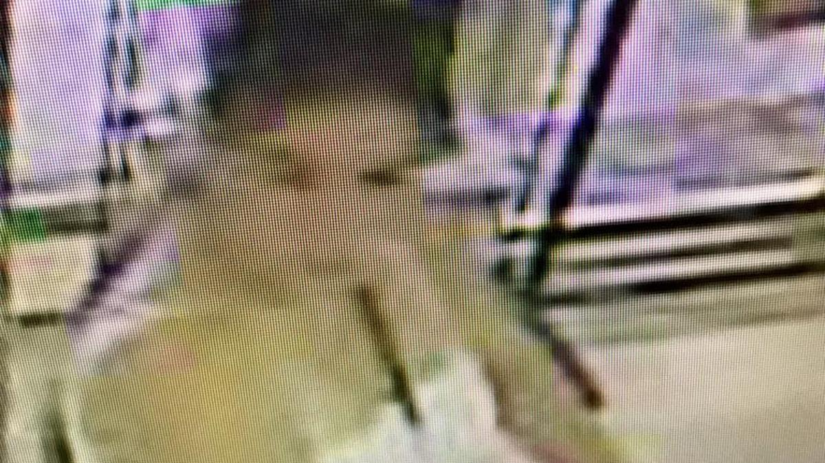 Biloxi police are asking for assistance in identifying the woman shown in this picture. Police said she used a fraudulent credit card at a Pass Road store on Tuesday night.