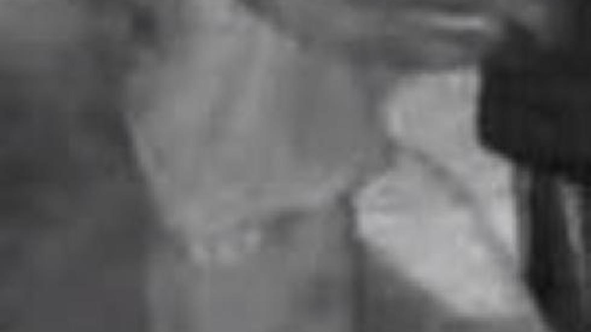 Biloxi police say this auto burglary suspect is shown at the scene of a crime at 2 a.m. Aug. 17 on North Street.