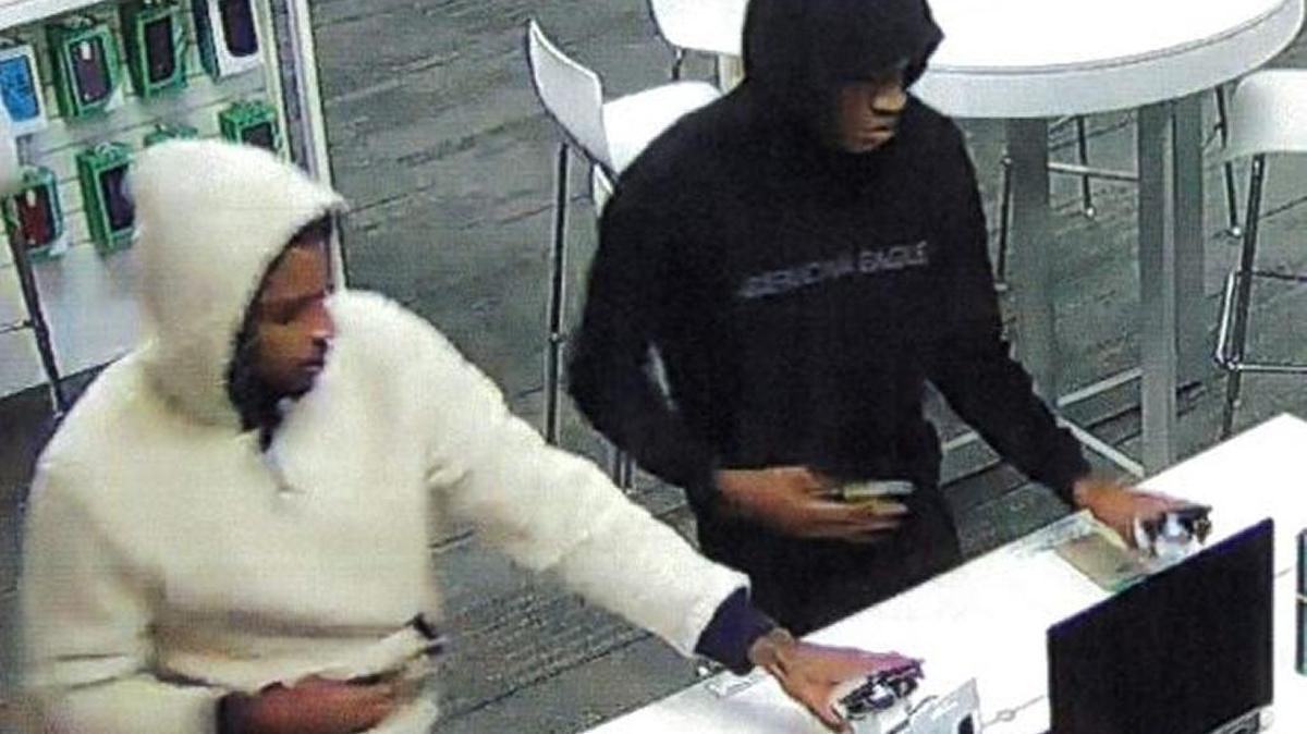 Biloxi Police say these two males caused damages when they shoplifted cellphones from Cricket Wireless on Tuesday, Jan. 27.