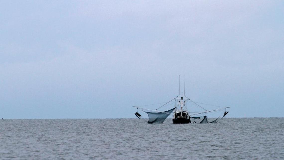 A lone shrimp boat makes its way to the Mississippi Sound during this year’s opening of the 2016 shrimp season.