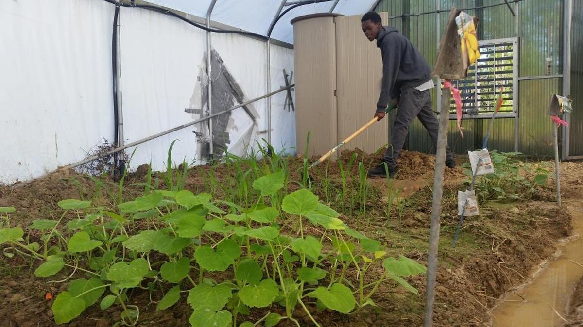 Grant money from Mississippi Power will help update the Greenhouse at West Harrison High School in Gulfport.