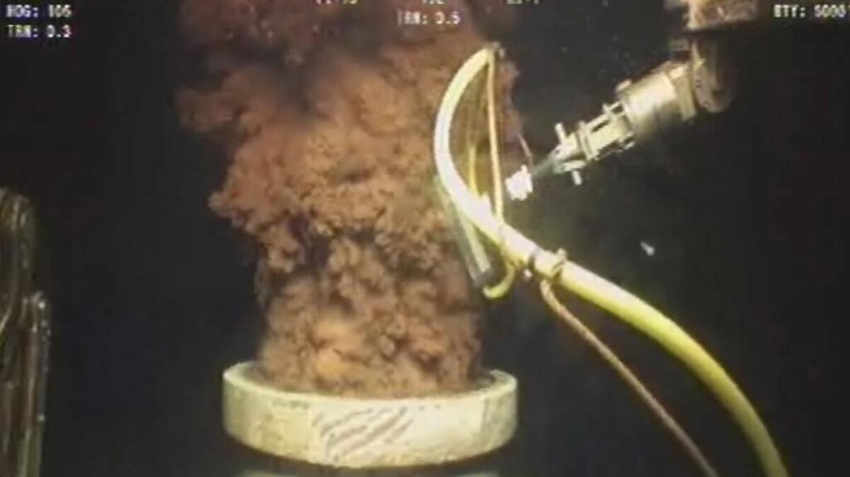 Oil flows out of the Deepwater Horizon site in 2010 after the rig above it caught fire and exploded in the Gulf of Mexico. 172 million gallons of petroleum into the Gulf.