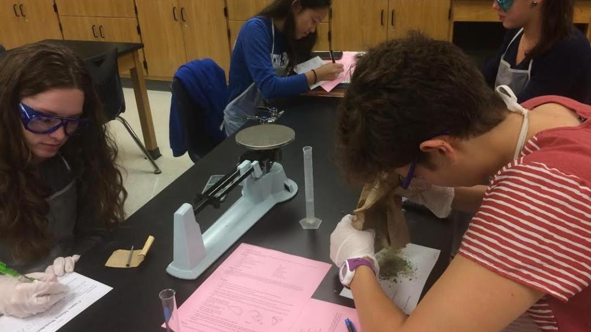 Ocean Springs High School students get their hands dirty during an environmental science class.