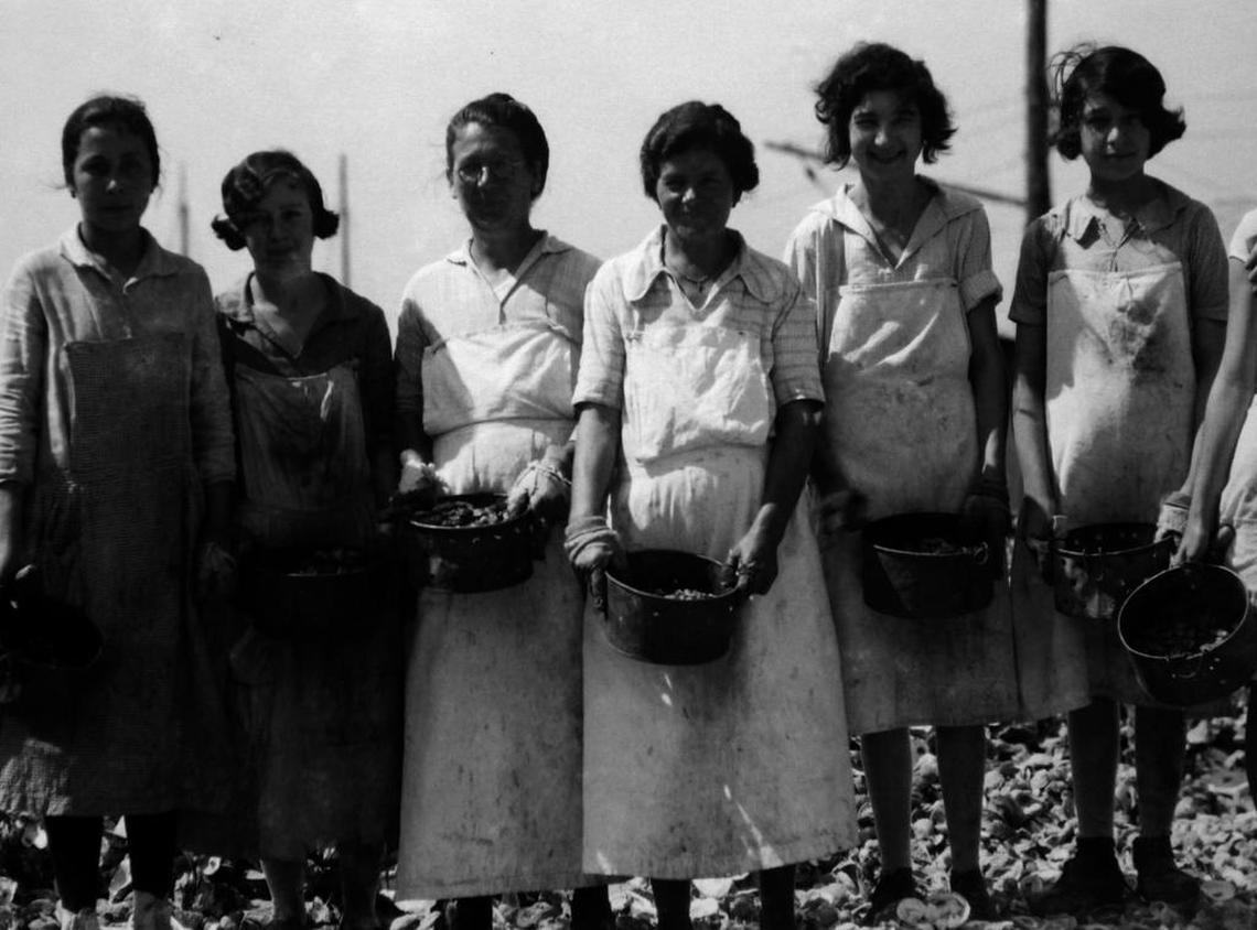 Yugoslavian immigrants holding oyster pots taking a break from work at an oyster plant, pose for a photo, circa 1940.
