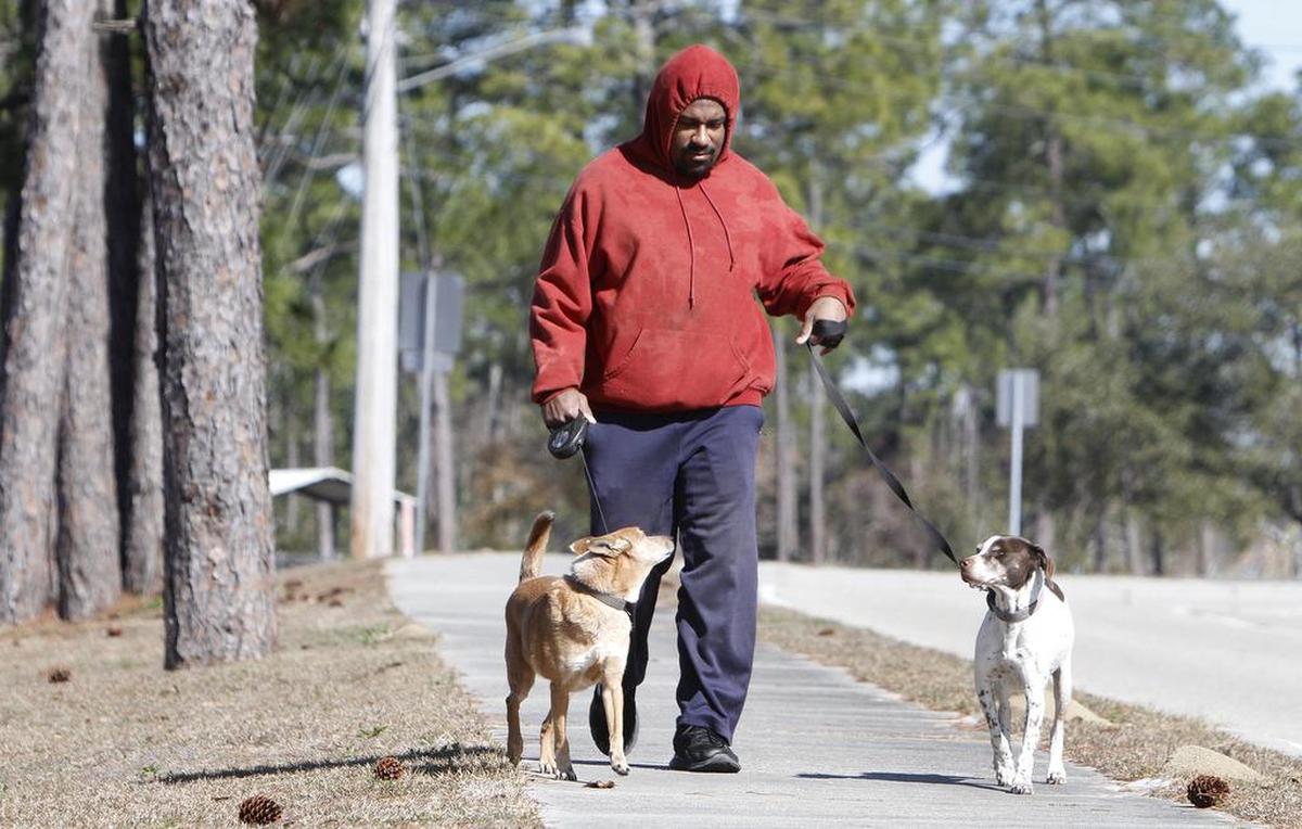 Xavier Vinson walks his dogs, Sentry, left, and Saint on Wednesday, Jan. 17, 2018, as temperatures remained near freezing.