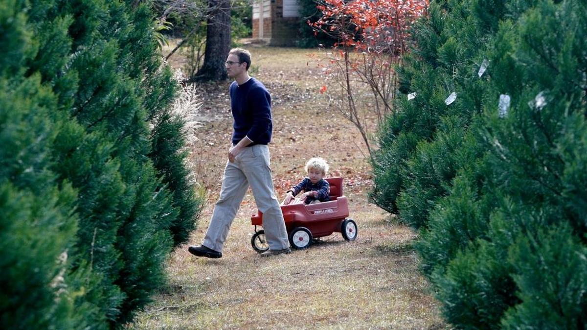 Andrew Harris pulls his son, Daniel, in a wagon as the Harris family look for their perfect Christmas tree at Gartman’s Tree Farm in Saucier in 2014.