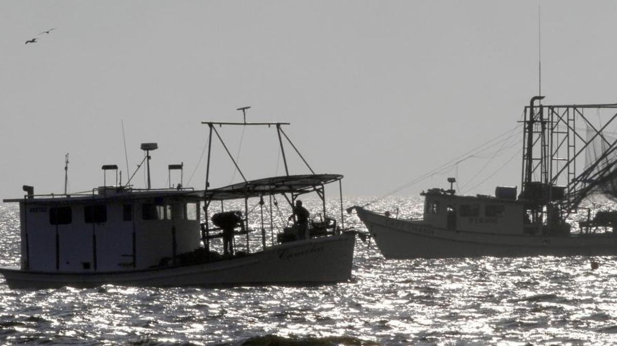 Boats pilot a grid pattern along the beach in Bay St. Louis. Certain oyster reefs will reopen for tonging Thursday morning.