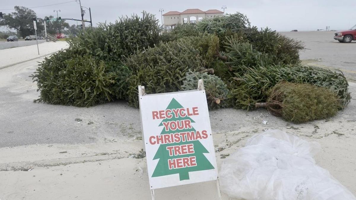 Drop-off locations for Christmas trees should be clearly marked.