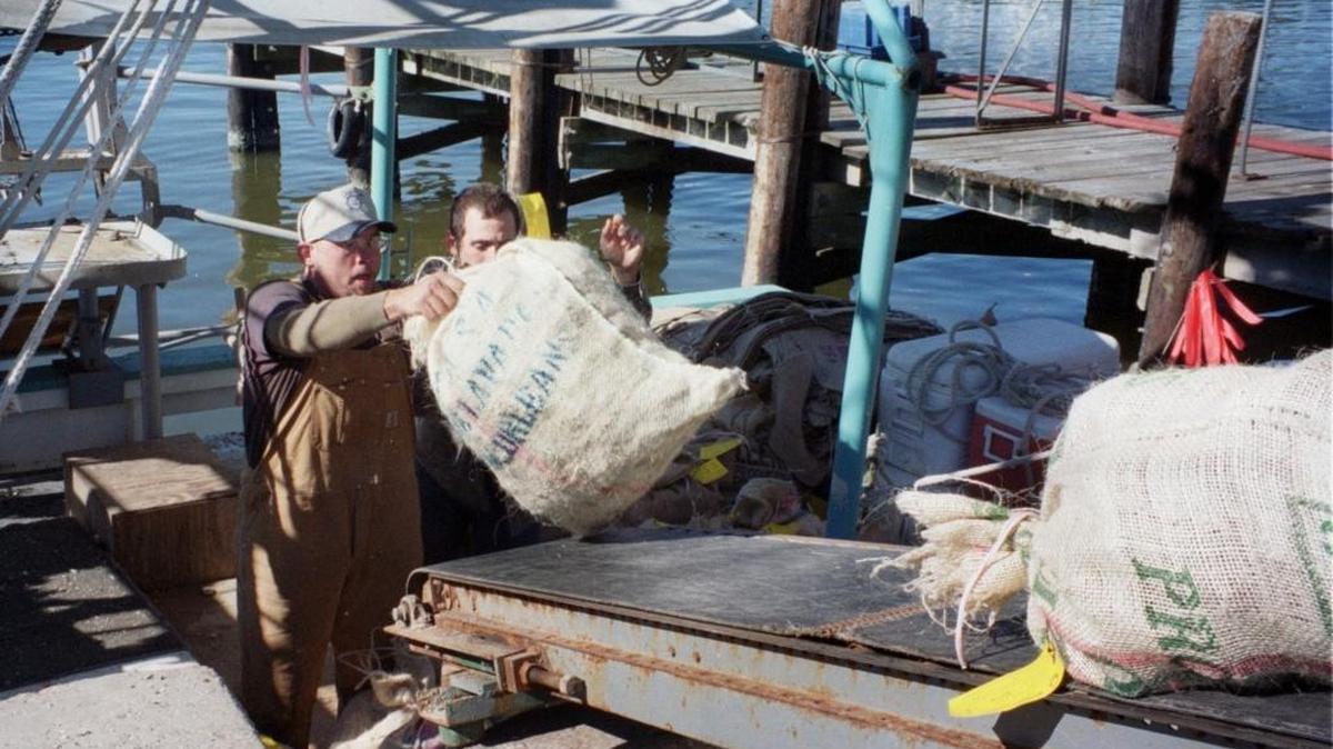 Oyster season in Biloxi Bay has closed, but larger reefs around Pass Christian will open Nov. 13.