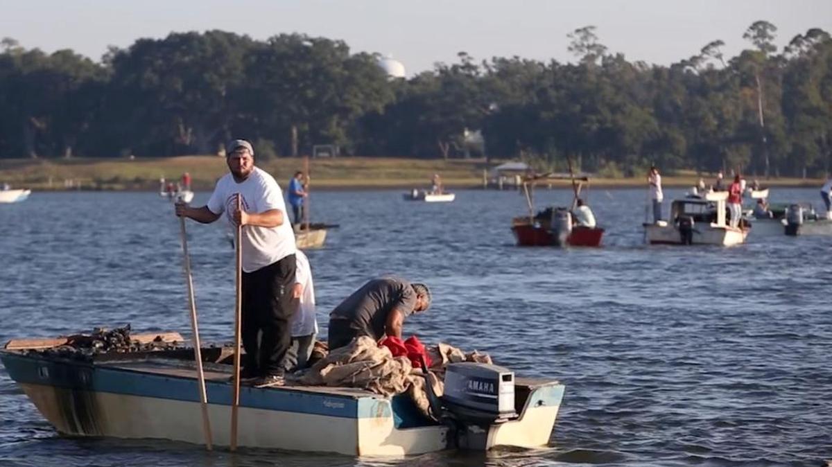 Oyster fishermen tong the waters of Biloxi Bay at Shearwater Reef off the coast of Ocean Springs on Tuesday, Nov. 1, 2016. The reefs are opening back up after closing Nov. 9 because of rainfall.