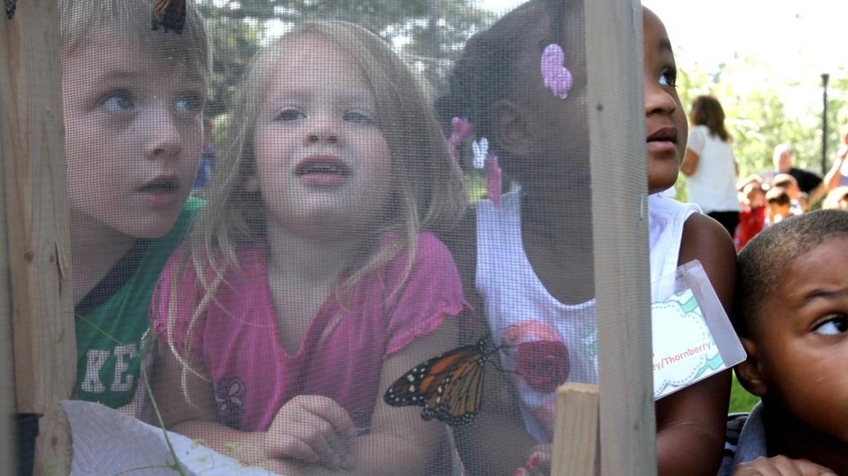Taconi Head Start students get a close-up view of monarch butterflies in Ocean Springs.