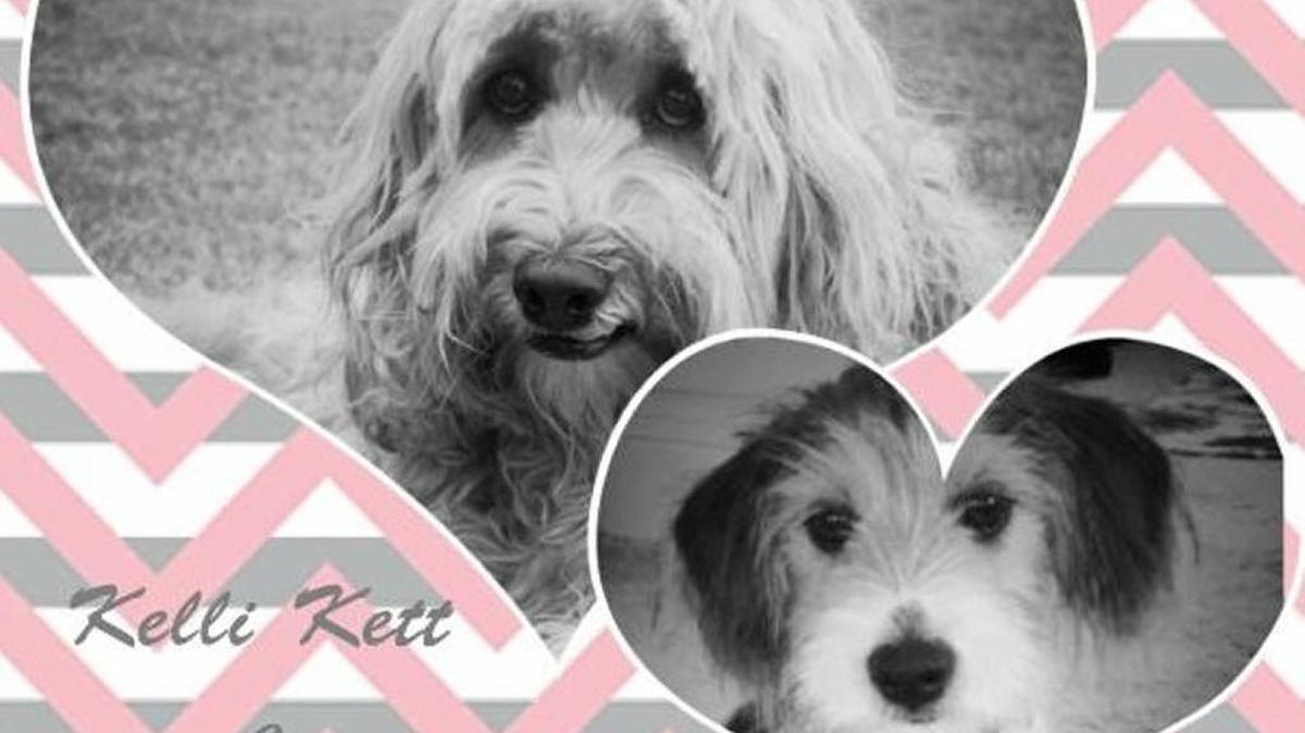 Kelli Kett, top, and Finn Pegram will be united in ‘muttrimony’ on Nov. 4 to help benefit the Humane Society of South Mississippi.