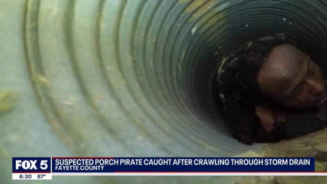 A man suspected of stealing packages eluded police by ducking into a storm drain but was coaxed out by a police K-9 in Fayette County, GA.