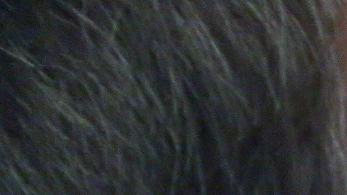 Update: Human Rights Campaign says lawmakers bullied education chief