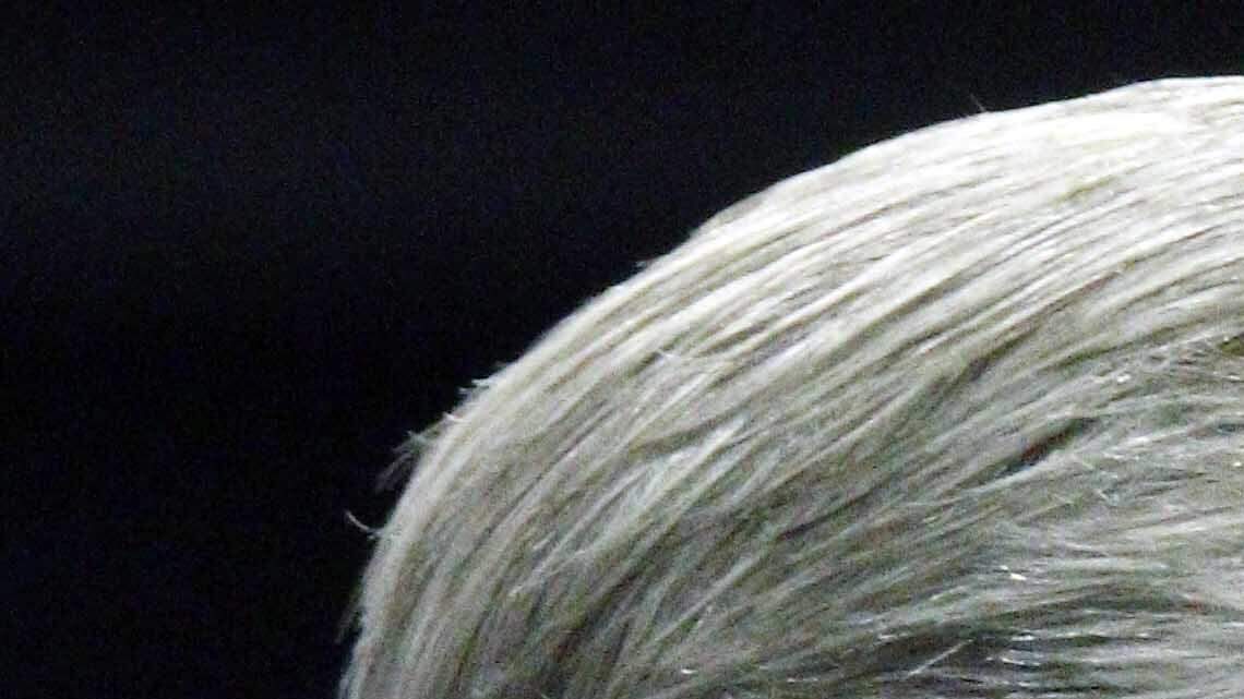 Gov. Phil Bryant wrong again on immigrants from Syria