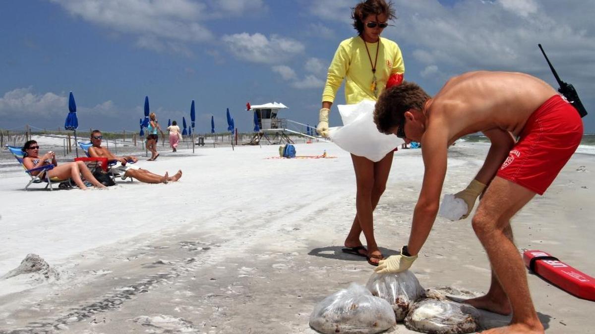 U.S. Park Service lifeguards Mandy Thomas and Ryan Fitzgerald pick up bags of tar balls that tourists had gathered and left on the beach at the Gulf Islands National Seashore on West Ship Island in July 2010, a few months after the BP Deepwater Horizon oil spill disaster.