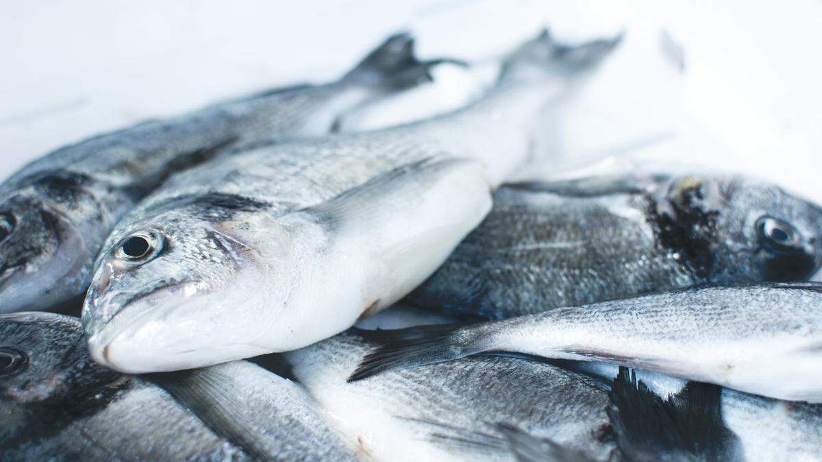 A Georgia man accused of illegally purchasing over 2,400 pounds of fish at interstate parking lots was sentenced to five years probation on Sept. 23, federal officials said.