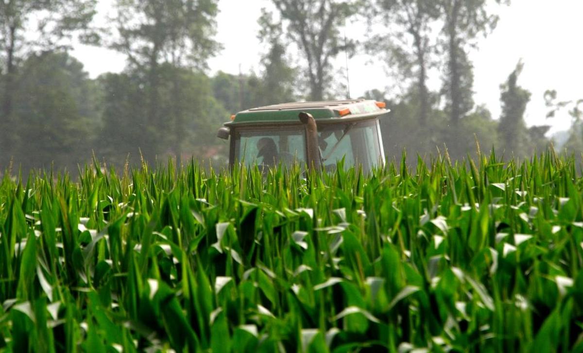 A farmer drives his tractor through a corn field near Hollandale, Miss., in 2011. “We’ve done a terrible job of telling our story,” Mississippi Commissioner of Agriculture and Commerce Cindy Hyde-Smith told the Sun Herald. One way to counter that is agritourism, she said.