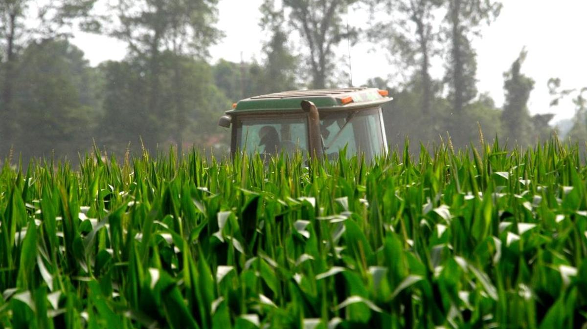 A farmer drives his tractor through a corn field near Hollandale, Miss., in 2011. “We’ve done a terrible job of telling our story,” Mississippi Commissioner of Agriculture and Commerce Cindy Hyde-Smith told the Sun Herald. One way to counter that is agritourism, she said.