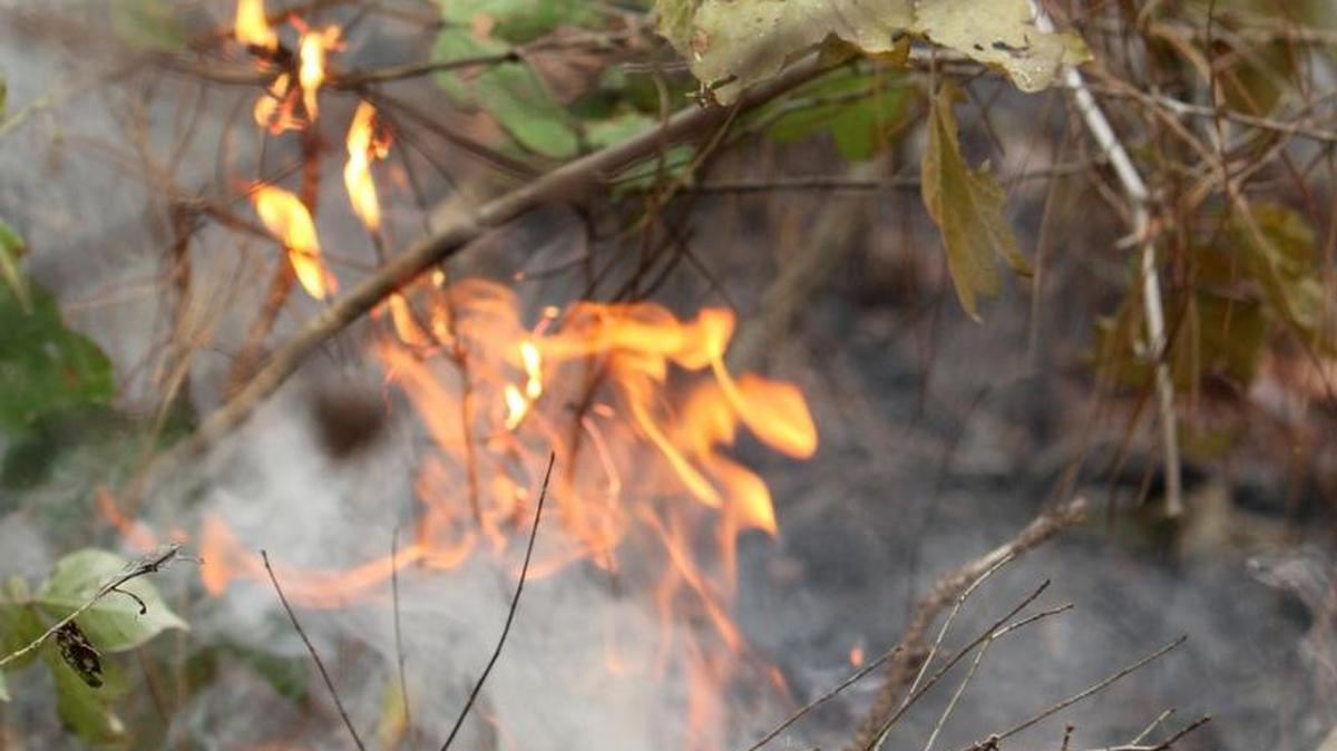 Flames erupt from a hot spot in a woods fire that started in Harrison County near the Delisle Exit north of Interstate 10 in this Sun Herald file photo from 2011.