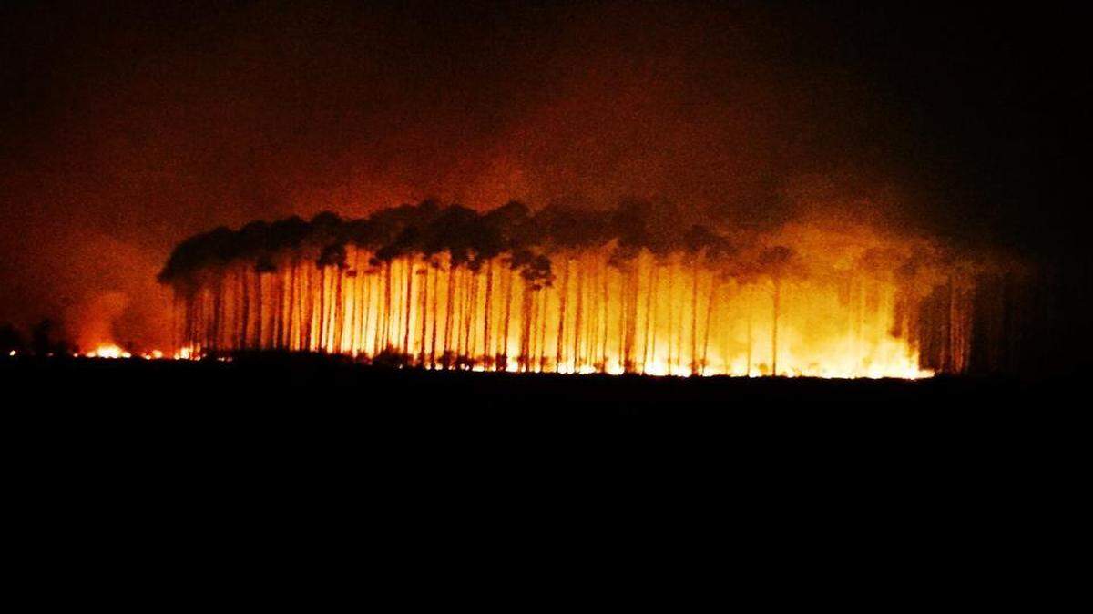 COURTESY U.S. Fish and Wildlife Service
A fire that originated Thursday in Jackson County spread over 900 acres by Saturday into Alabama. The fire is burning in mostly uninhabited areas and in marshland areas.
