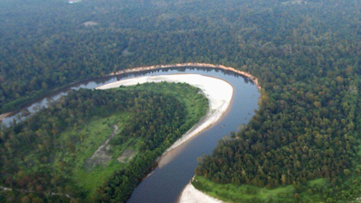 The Pascagoula River winds through George County before making its way to neighboring Jackson County. Plans are underway to dam tributaries to the river to create twin lakes, primarily in George County.