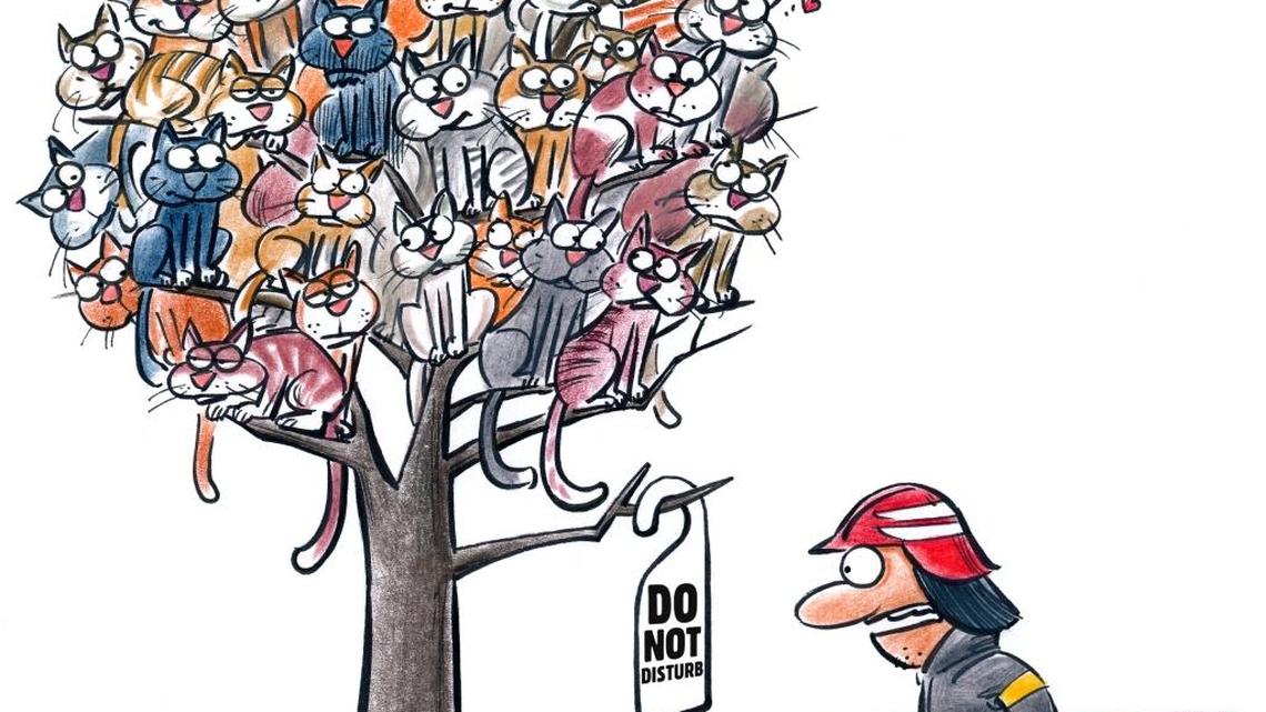 People who harm defenseless animals need help