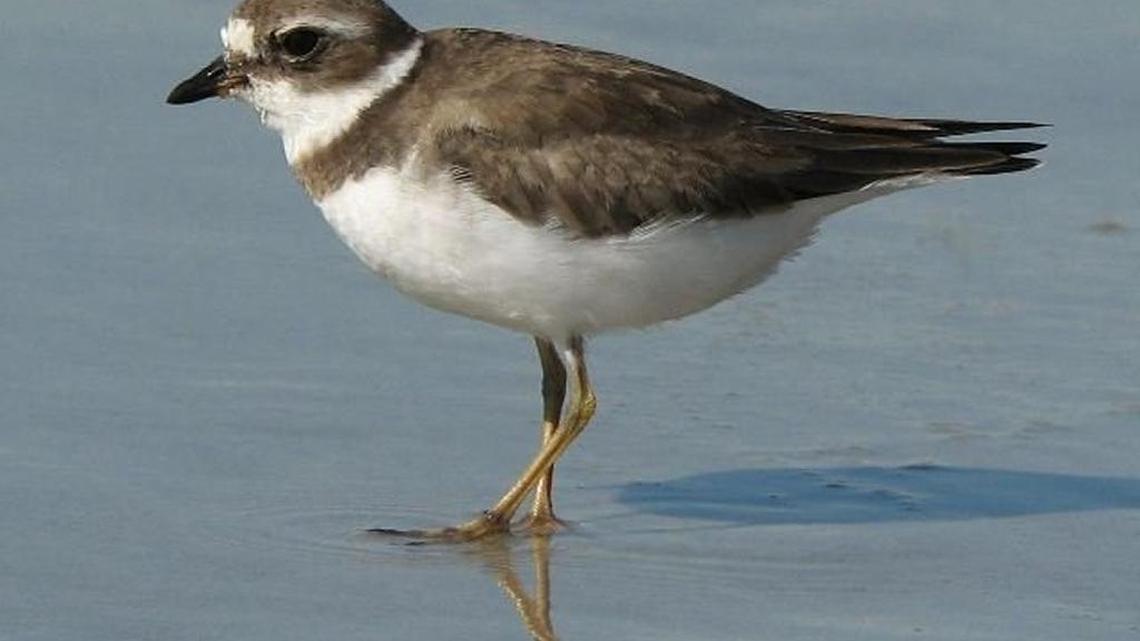 Scenes from the Beach | December 11, 2016