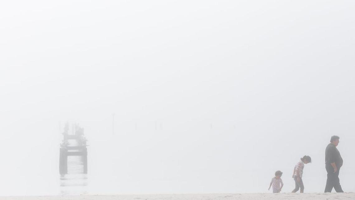 Scenes from the Beach | January 15, 2017